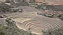Incas